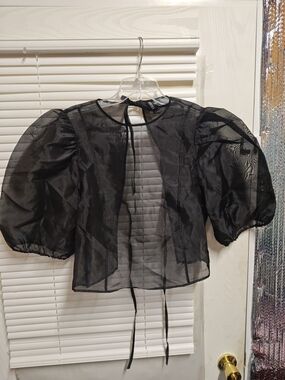 Divided Sheer Puff-Sleeve Black Blouse